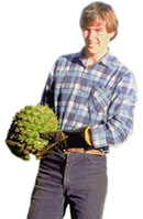 Rex Parsons and a Bunya nut